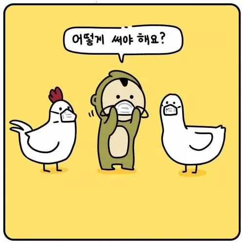 본문 이미지