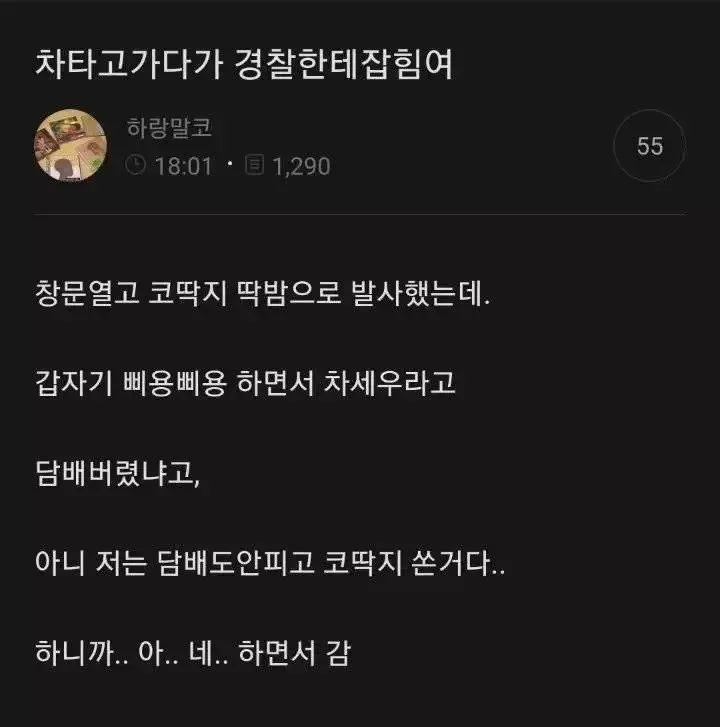 본문 이미지