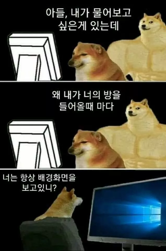 본문 이미지